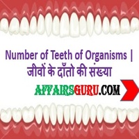 Number of Teeth of Organisms - AffairsGuru