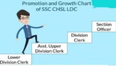 Promotion and Growth Chart of SSC CHSL LDC