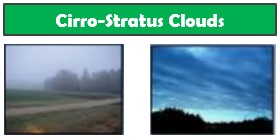 Cirro-stratus Clouds
