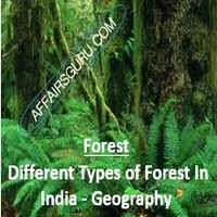 Different Types of Forest In India - Geography