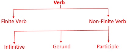 Verbs and their types