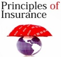 Principle of Insurance Cover Photo